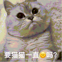 萌宠 猫咪 要猫猫一直 呆萌 可爱