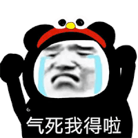 暴漫 熊猫头 气死我 搞怪 逗