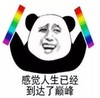 暴漫 文字表情包 感觉人生已经到达了巅峰 搞笑 逗 沙雕