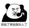 暴漫 熊猫头 别拍了 再拍我叫人了 搞怪 逗