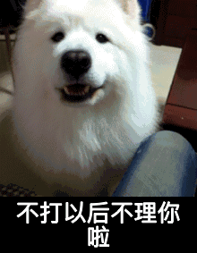 各种狗的表情包gif微信图片