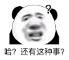 暴漫 熊猫头 哈还有这种事 搞怪 逗
