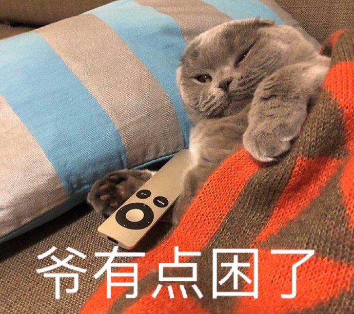 猫咪表情包 犯困图片