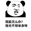 暴漫 熊猫头 单身 搞怪 逗