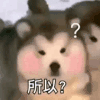 萌宠 狗狗 所以 呆萌 可爱