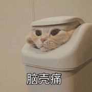 沙雕猫