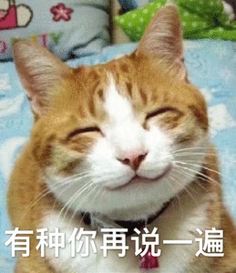 猫咪