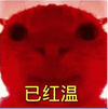 萌宠 猫咪 已红温 呆萌 可爱