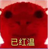 萌宠 猫咪 已红温 呆萌 可爱