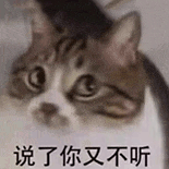 萌宠