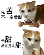 猫咪 可爱 沙雕 搞怪