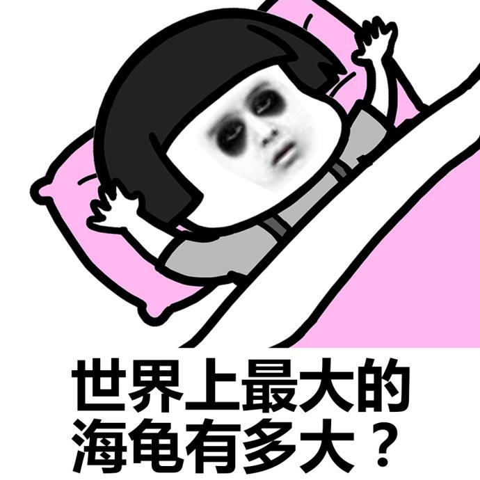 金馆长 躺着 蘑菇头 世界上 最大的海龟 有多大