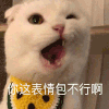 萌宠 猫咪 你这表情包不行啊 呆萌 可爱