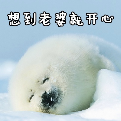 想到老婆 开心 北极熊 胖乎乎 搞笑 可爱 斗图