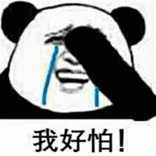 金馆长熊猫