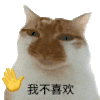 萌宠 猫咪 我不喜欢 呆萌 可爱