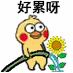 小黄鸡 崽崽 可爱 搞怪