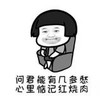 暴漫 文字表情包 问君能有几多愁 心里惦记红烧肉 搞笑 逗 沙雕