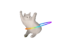 萌宠 猫咪 转圈 呆萌 可爱