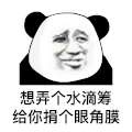 暴漫 熊猫头 想弄个水滴筹给你捐个眼角膜 搞怪 逗