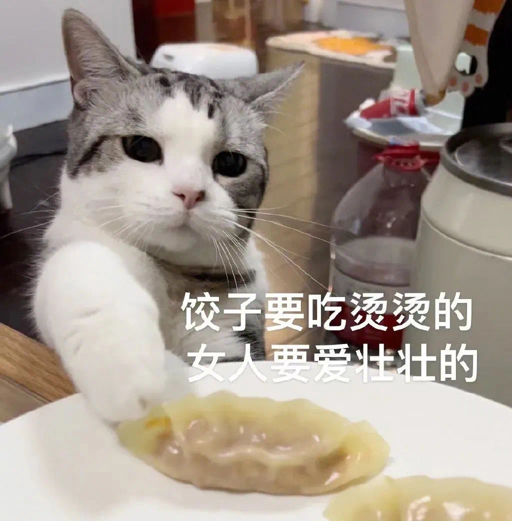 萌宠猫咪吃饺子呆萌可爱gif动图