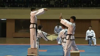 跆拳道韩国朝鲜演示gif动图