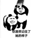 暴漫 熊猫头 你居然记住了她的样子 生气 搞怪 逗