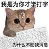 猫咪 不回消息 情侣 搞怪