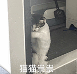 萌宠