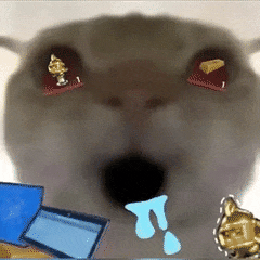 鼠鼠 猫咪 三角洲 搞怪