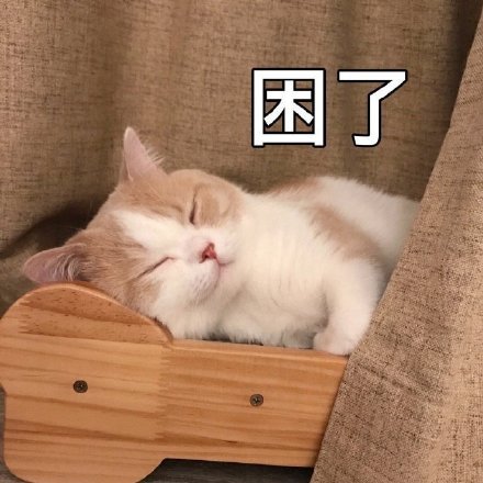 萌宠gif猫星人gif困了gif睡了gif呆萌gif可爱gif