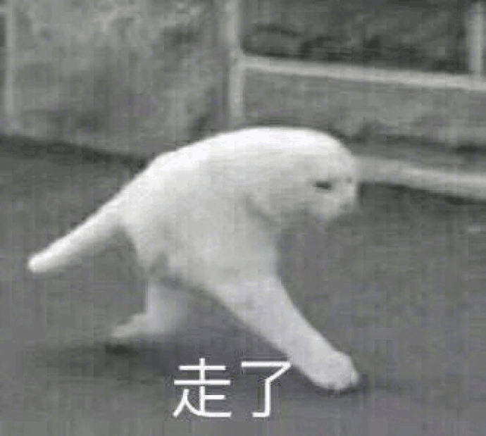 沙雕猫