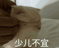 萌宠 猫咪 少儿不宜 呆萌 可爱