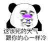 暴漫 熊猫头 该死的天气 搞怪 逗