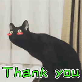 猫咪说谢谢表情包图片