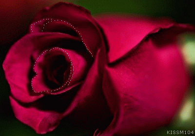 玫瑰花动图闪烁图片