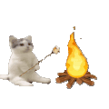 萌宠 猫咪 烤肉 呆萌 可爱