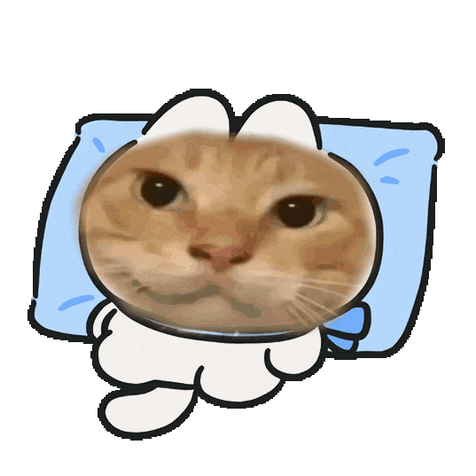 耄耋 猫咪 可爱 搞怪 哈基米