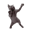 萌宠 猫咪 跳舞 呆萌 可爱