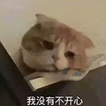 萌宠 猫咪 我没有不开心 呆萌 可爱