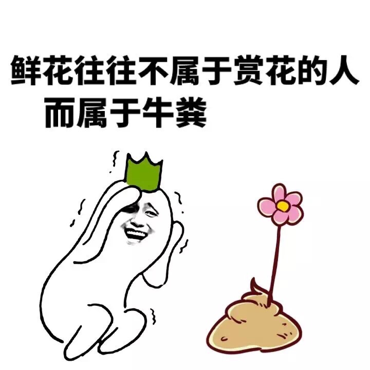 鲜花插牛粪的表情包图片