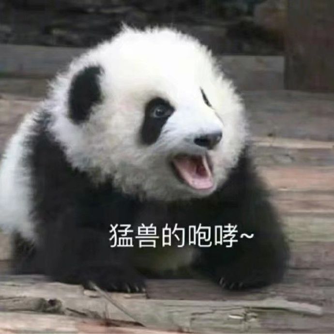 萌宠gif熊猫gif猛兽的咆哮gif啊啊啊gif搞怪gif憨憨gif