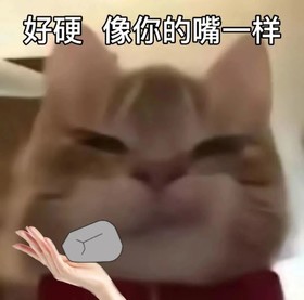 歪嘴小猫 沙雕 搞笑 逗
