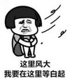 暴漫 文字表情包 这里风大 我要在这里等白起 搞笑 逗 沙雕