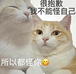 萌宠 猫咪 很抱歉我不能怪自己所以都怪你 呆萌 可爱