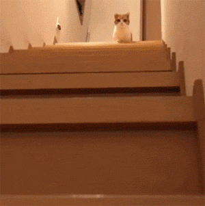 一步跨楼梯表情包图片