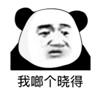 暴漫 熊猫头 我啷个晓得 搞怪 逗