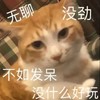 萌宠 猫星人 无聊 不如发呆 搞怪 呆萌