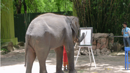 大象画画动图图片