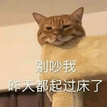 萌宠